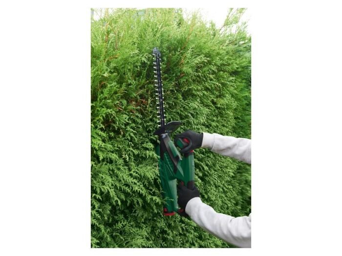 Taille-haies sans fil PHSA 12 B1, 12 V - Image 4